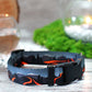 Nature Dog Collar with Plastic Buckle