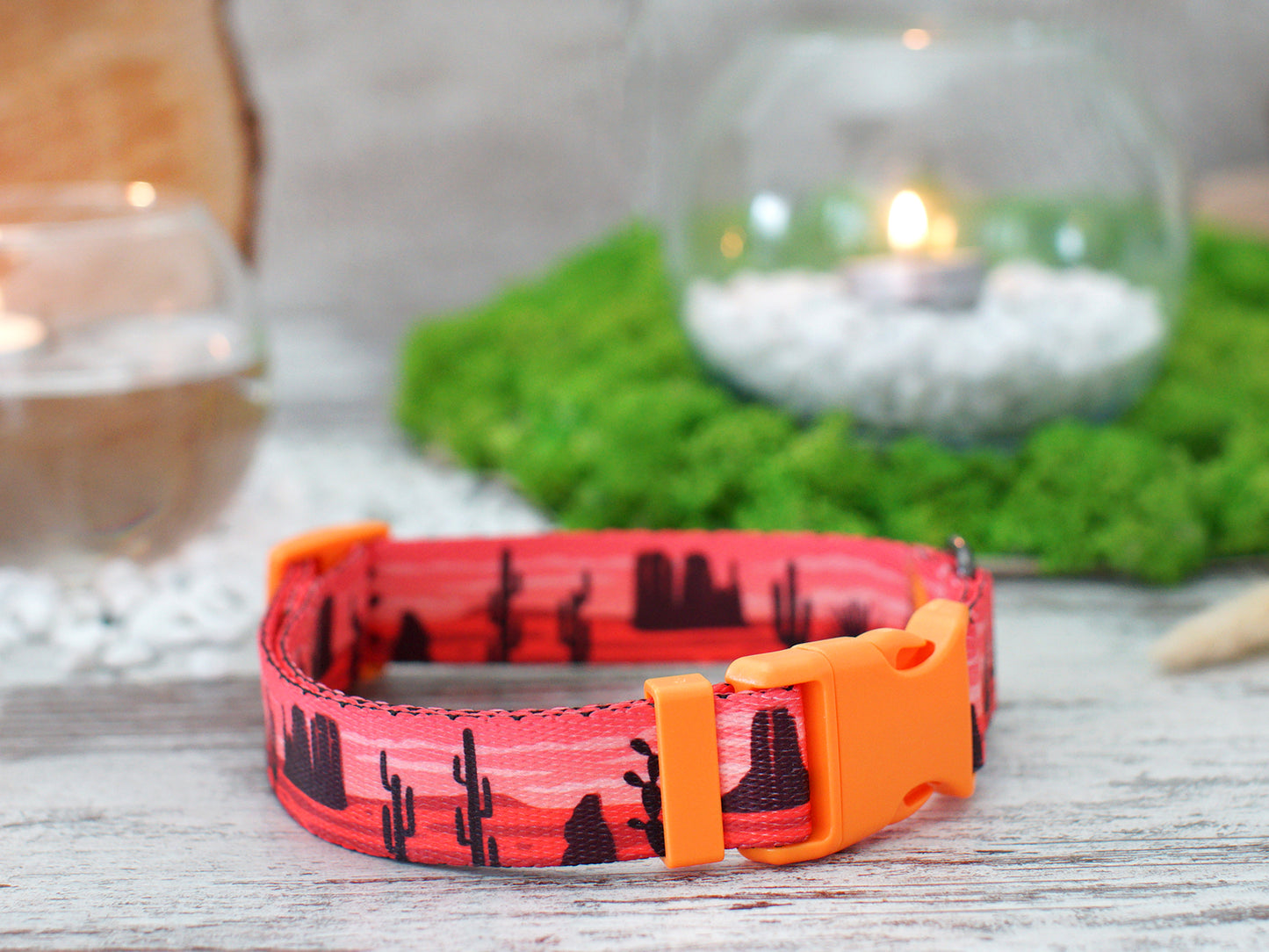 Nature Dog Collar with Plastic Buckle