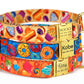 Ice Cream Dog Collar with Name
