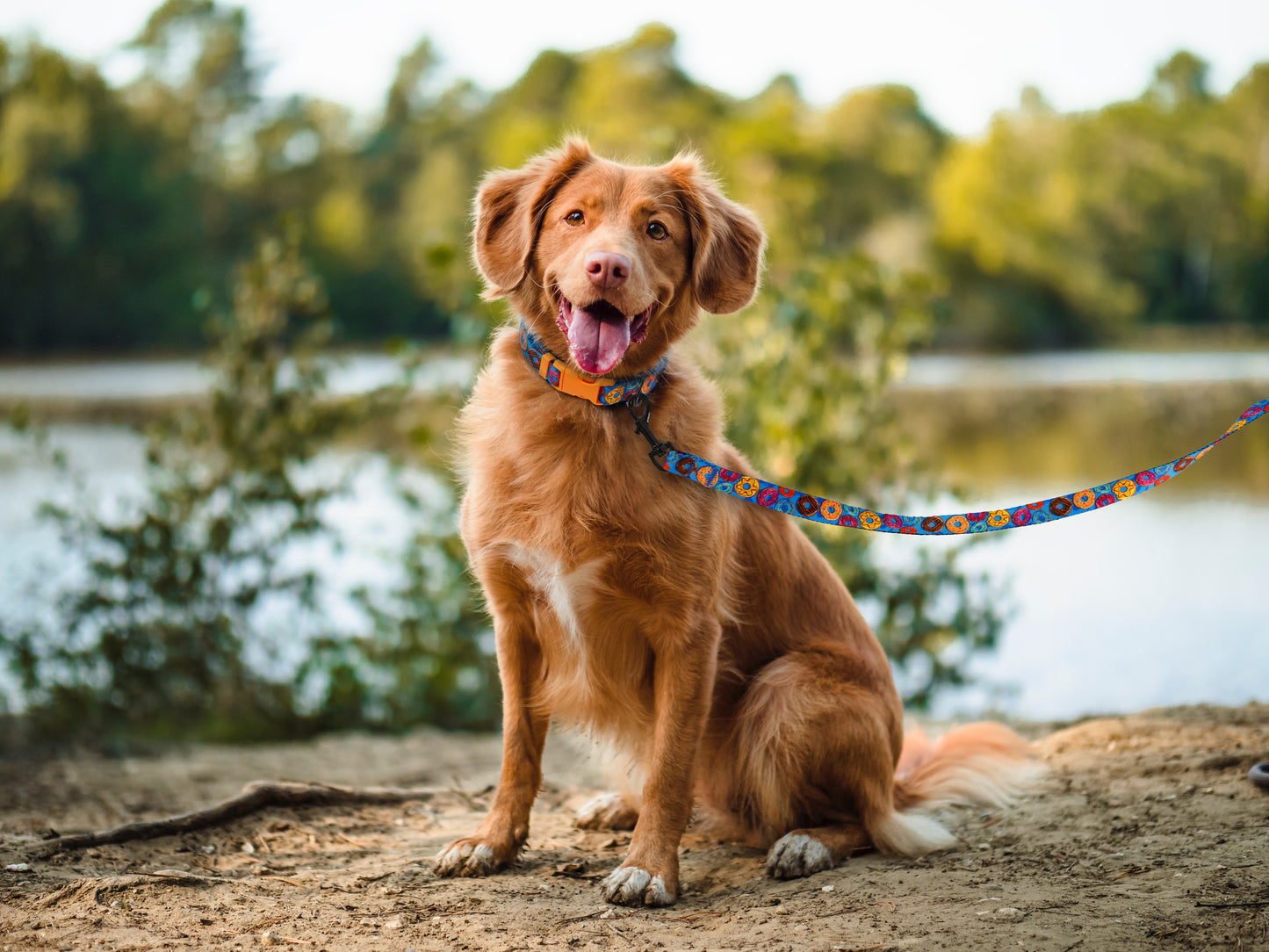 Ice Cream Dog Leash 5Ft