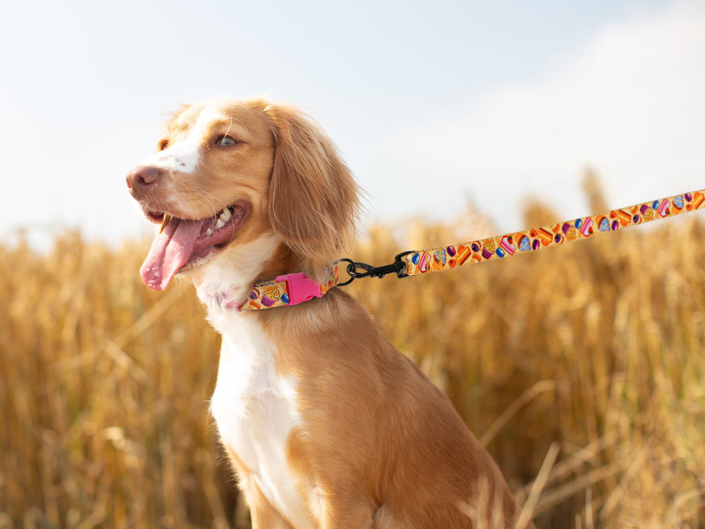 Cupcakes Dog Leash 5Ft