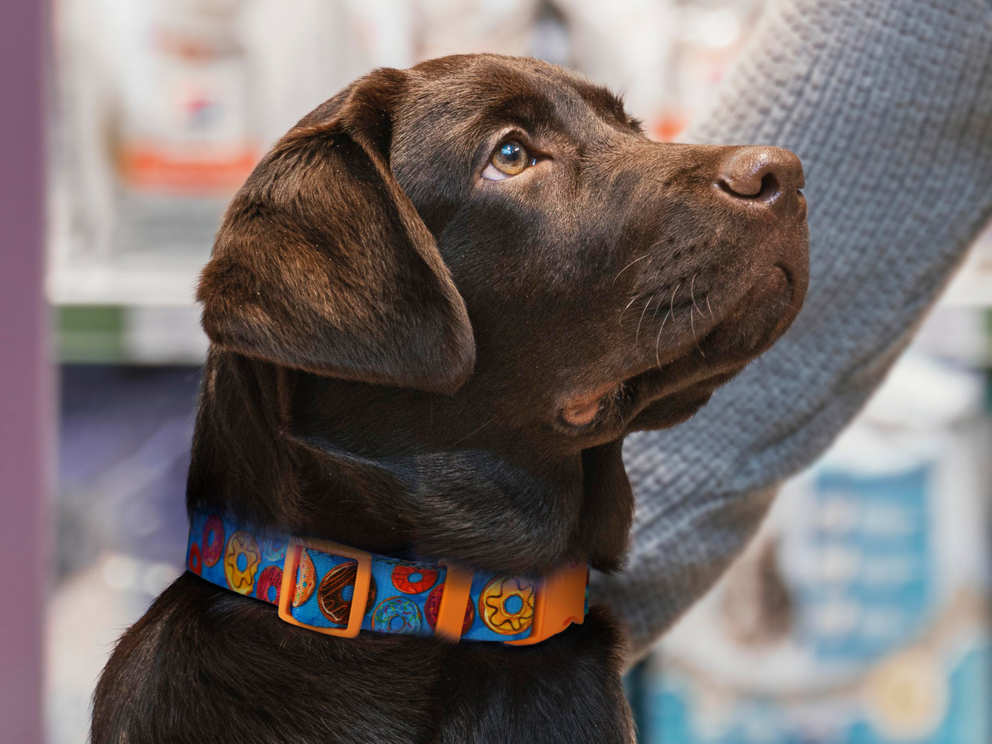 Donut Dog Collar with ID Tag