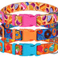 Donut Dog Collar with ID Tag