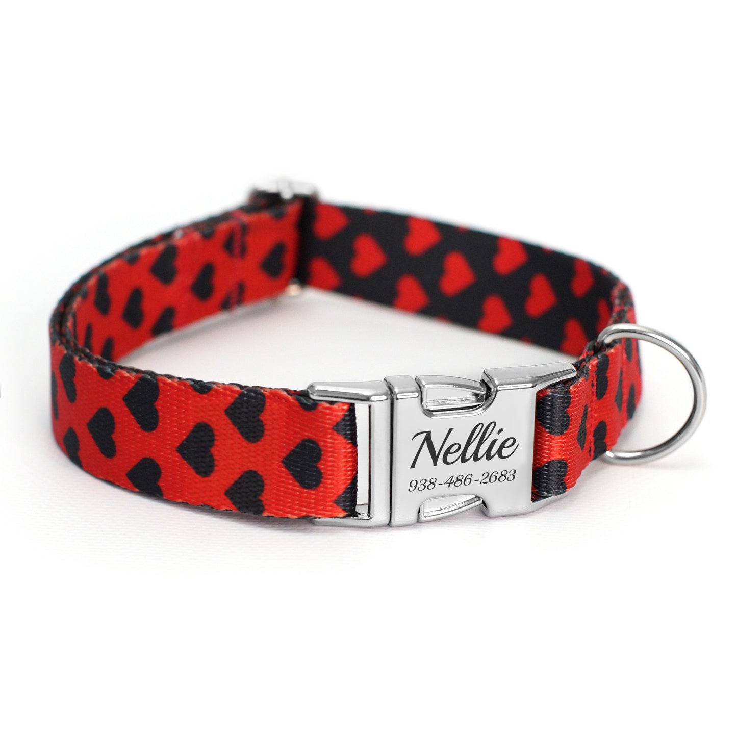 Dog Collar with Metal Buckle