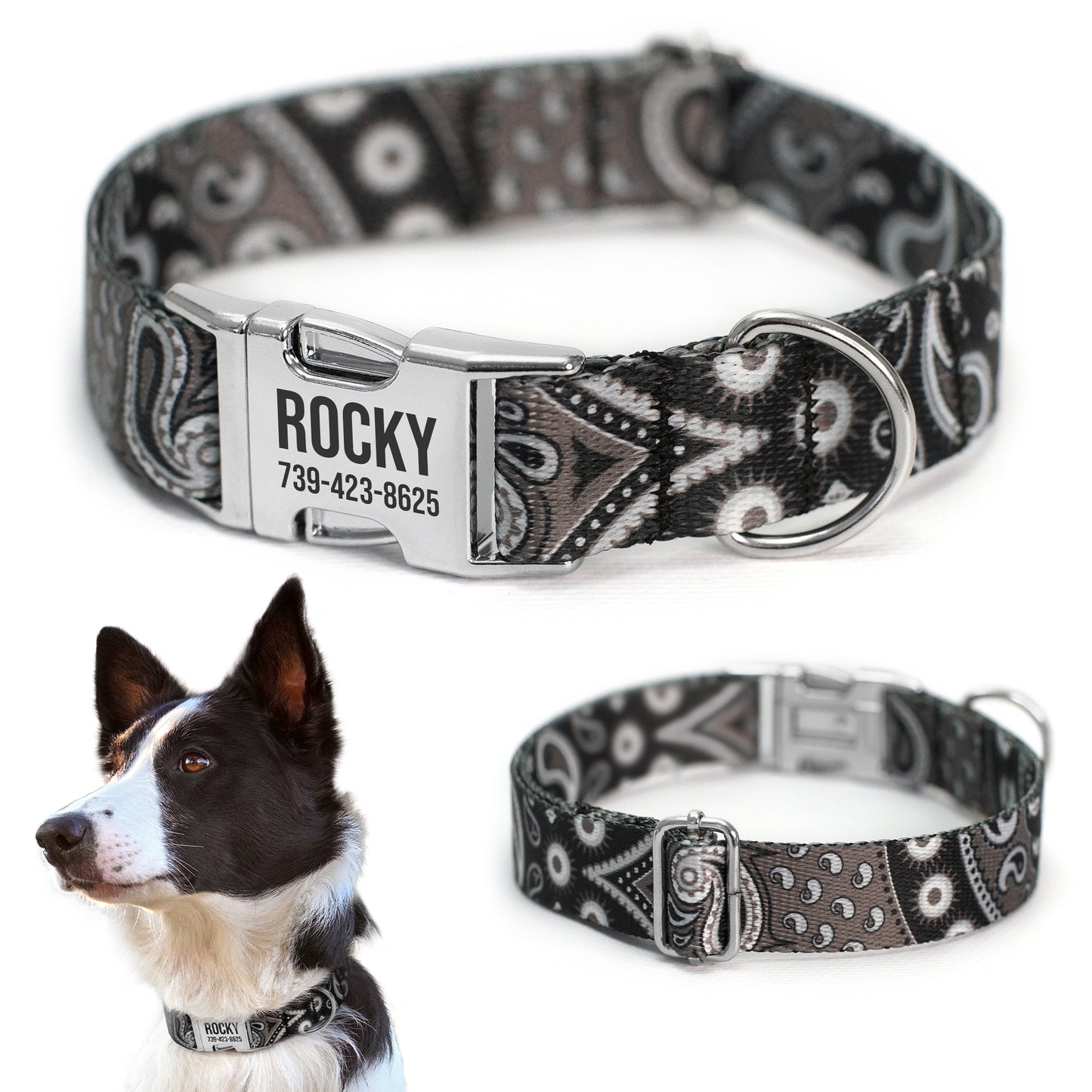 Dog Collar with Metal Buckle