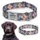 Dog Collar with Metal Buckle