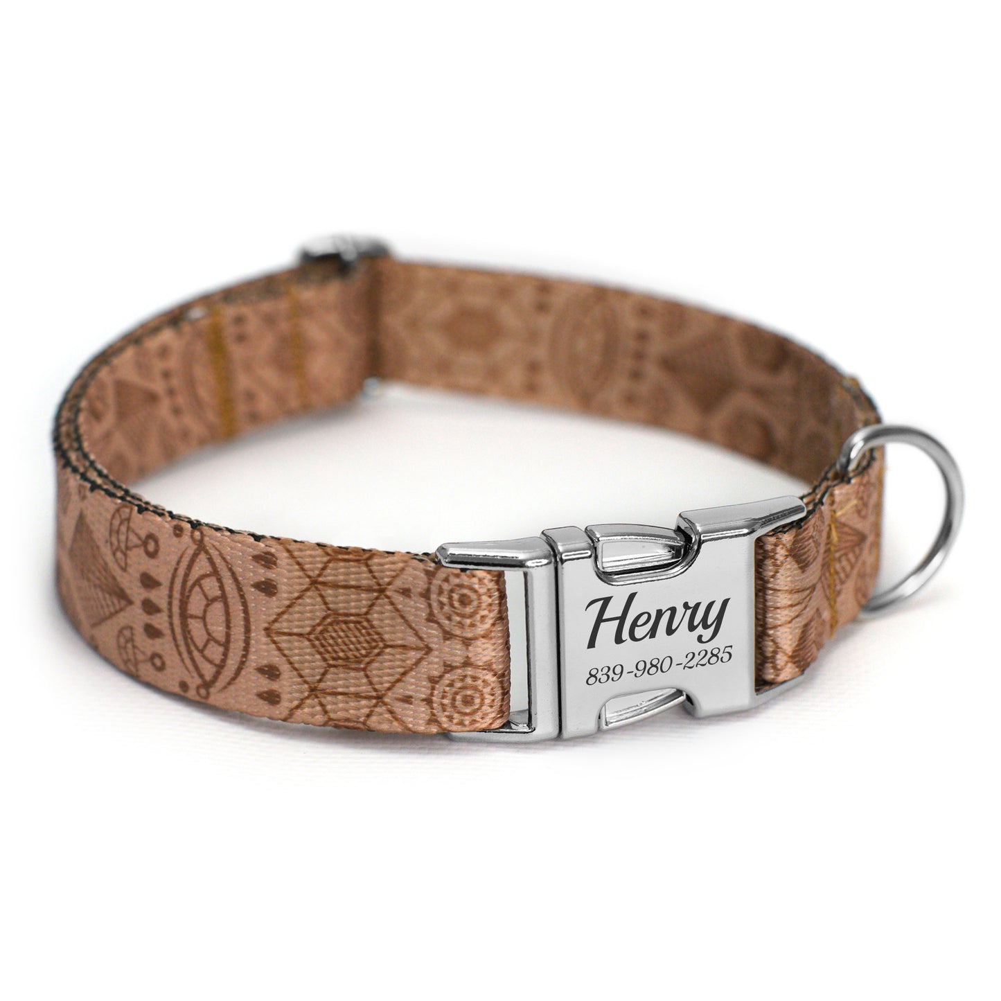 Dog Collar with Metal Buckle