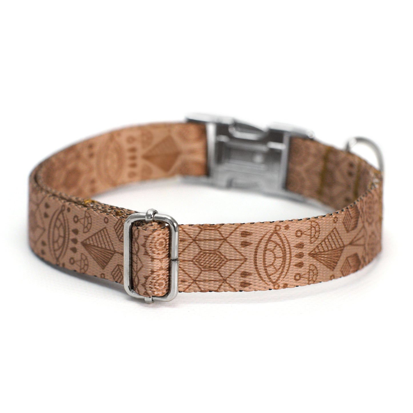 Dog Collar with Metal Buckle