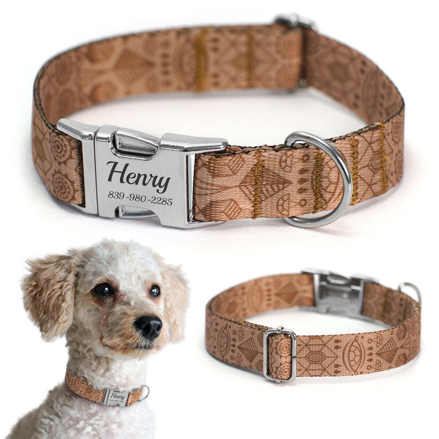 Dog Collar with Metal Buckle