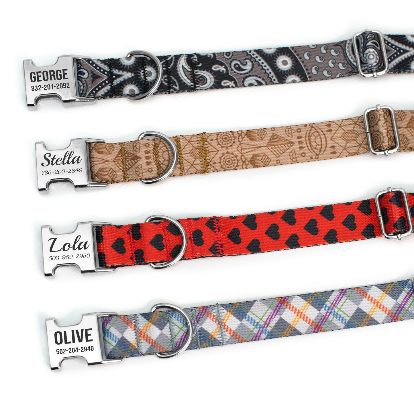 Dog Collar with Metal Buckle
