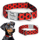 Dog Collar with Metal Buckle