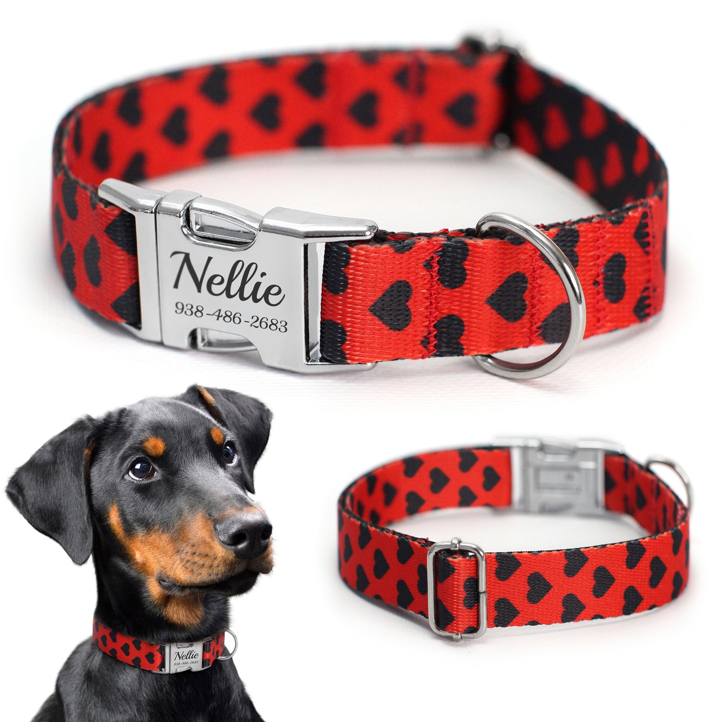 Dog Collar with Metal Buckle