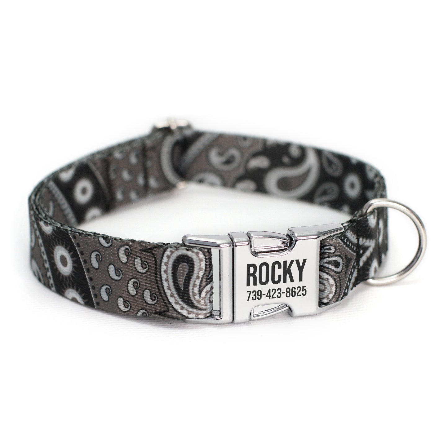 Dog Collar with Metal Buckle