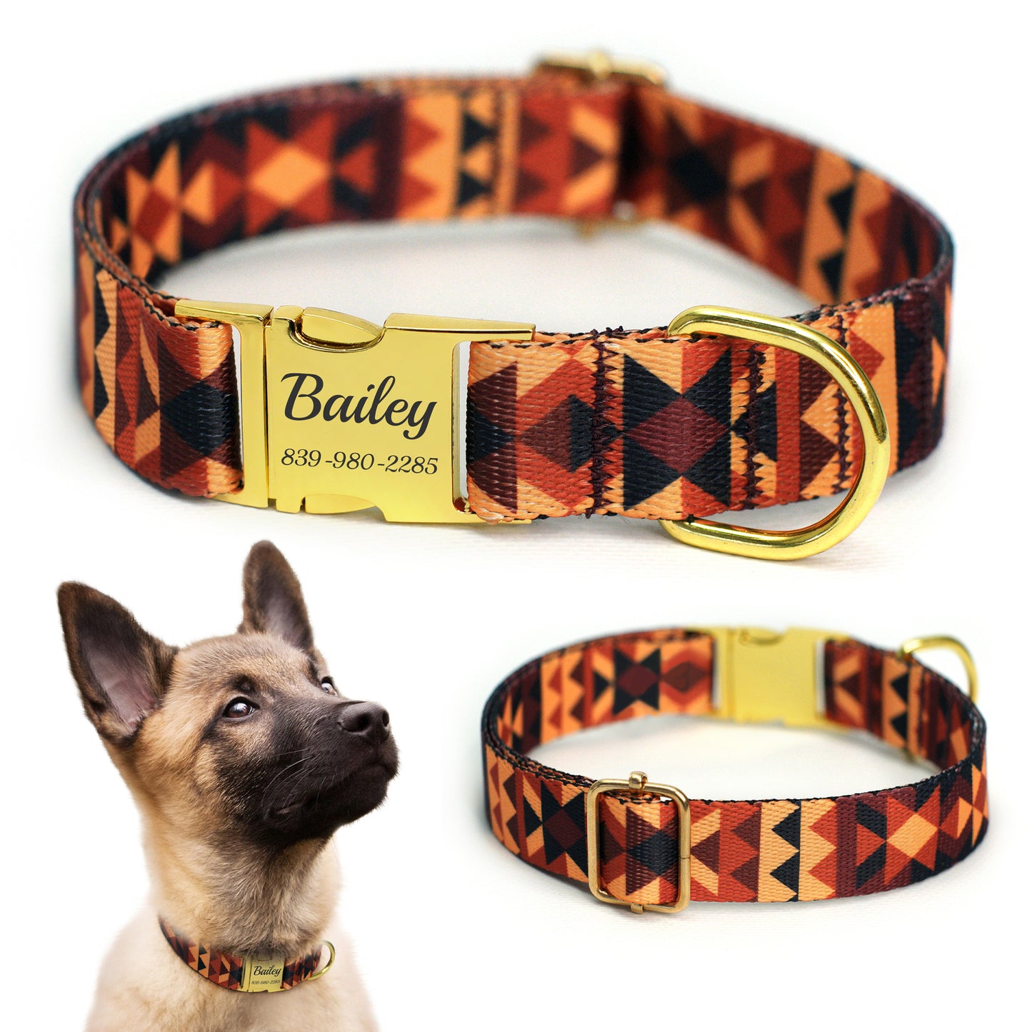 Nylon Dog Collar with Metal Buckle