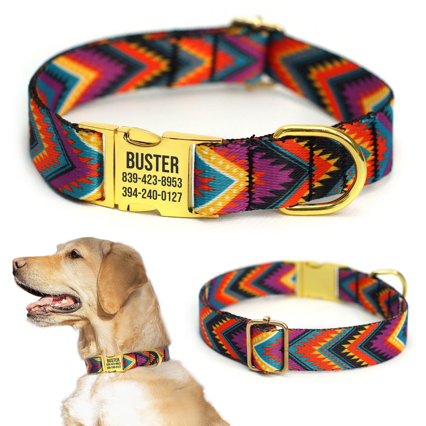 Nylon Dog Collar with Metal Buckle