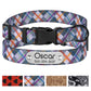 Nylon Dog Collar with Plastic Buckle