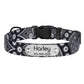 Nylon Dog Collar with Plastic Buckle