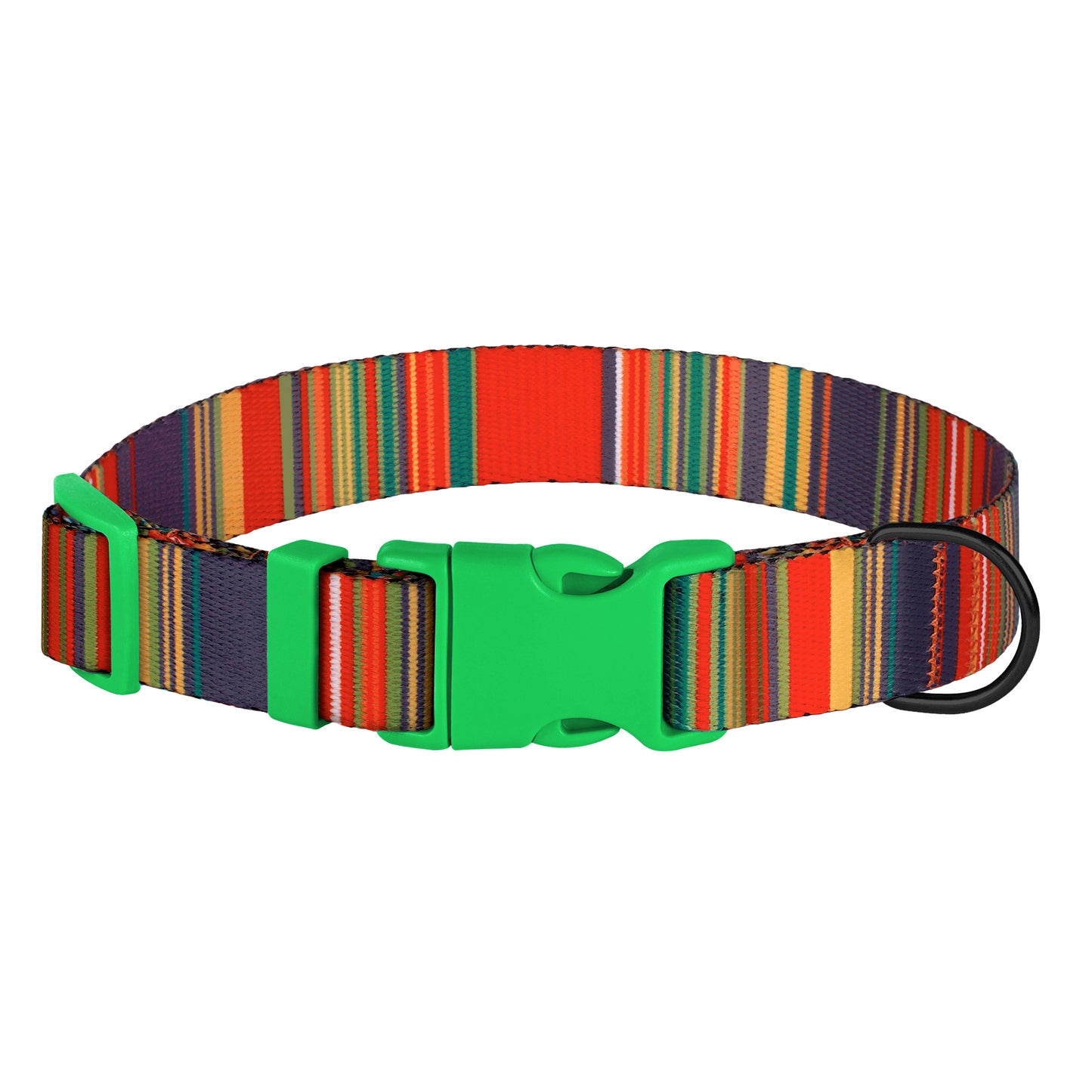 Striped Dog Collar with ID Tag