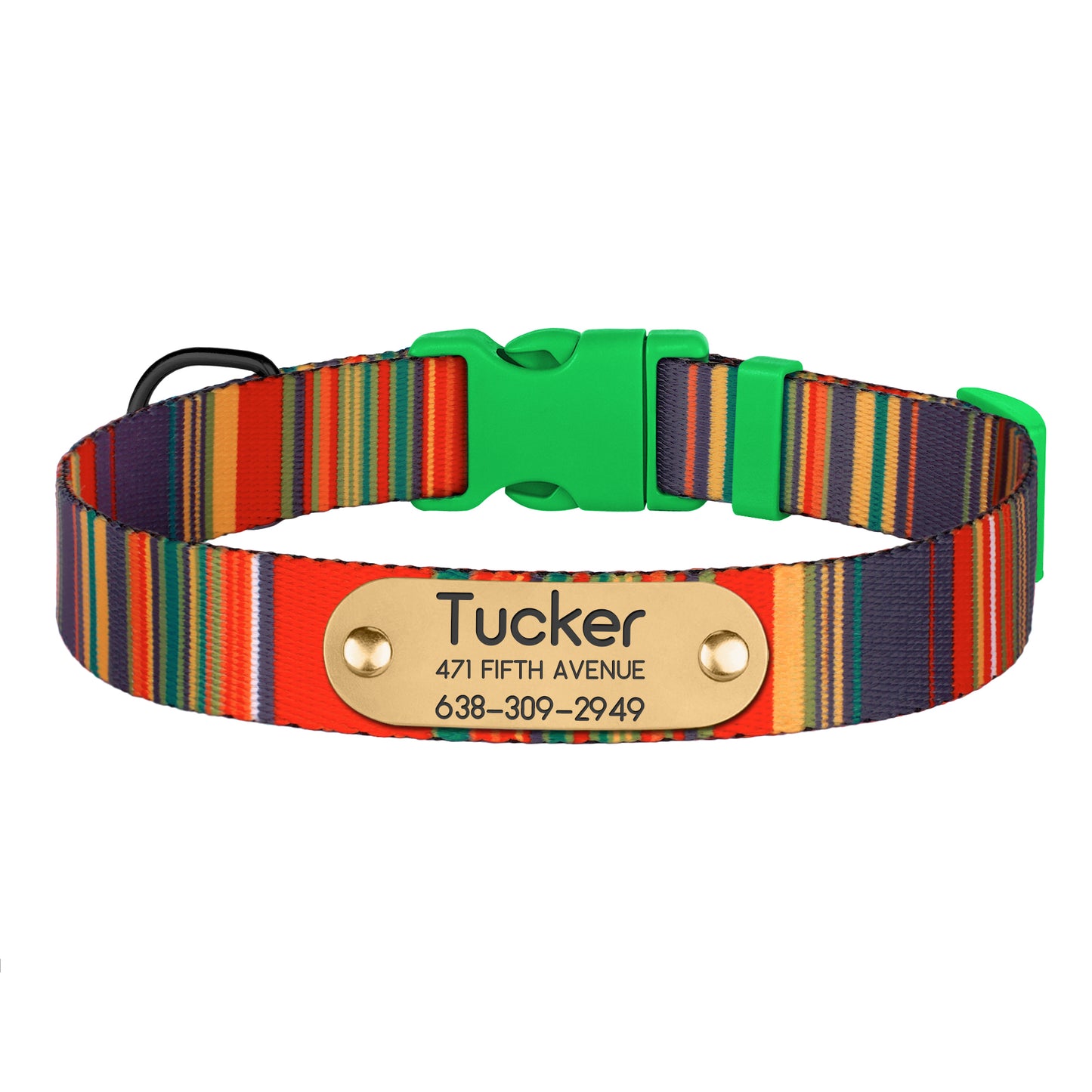 Striped Dog Collar with ID Tag