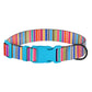 Striped Dog Collar with ID Tag