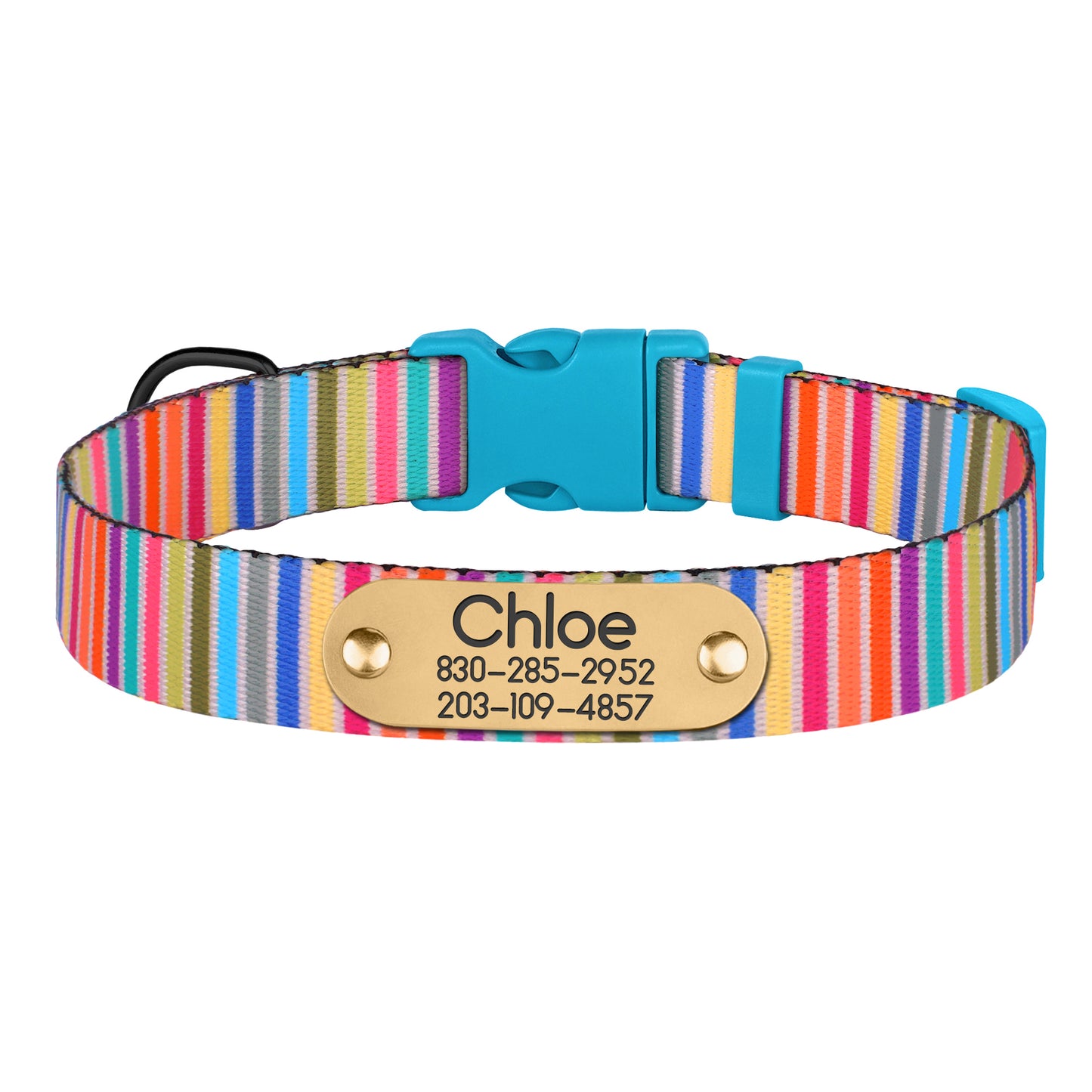 Striped Dog Collar with ID Tag