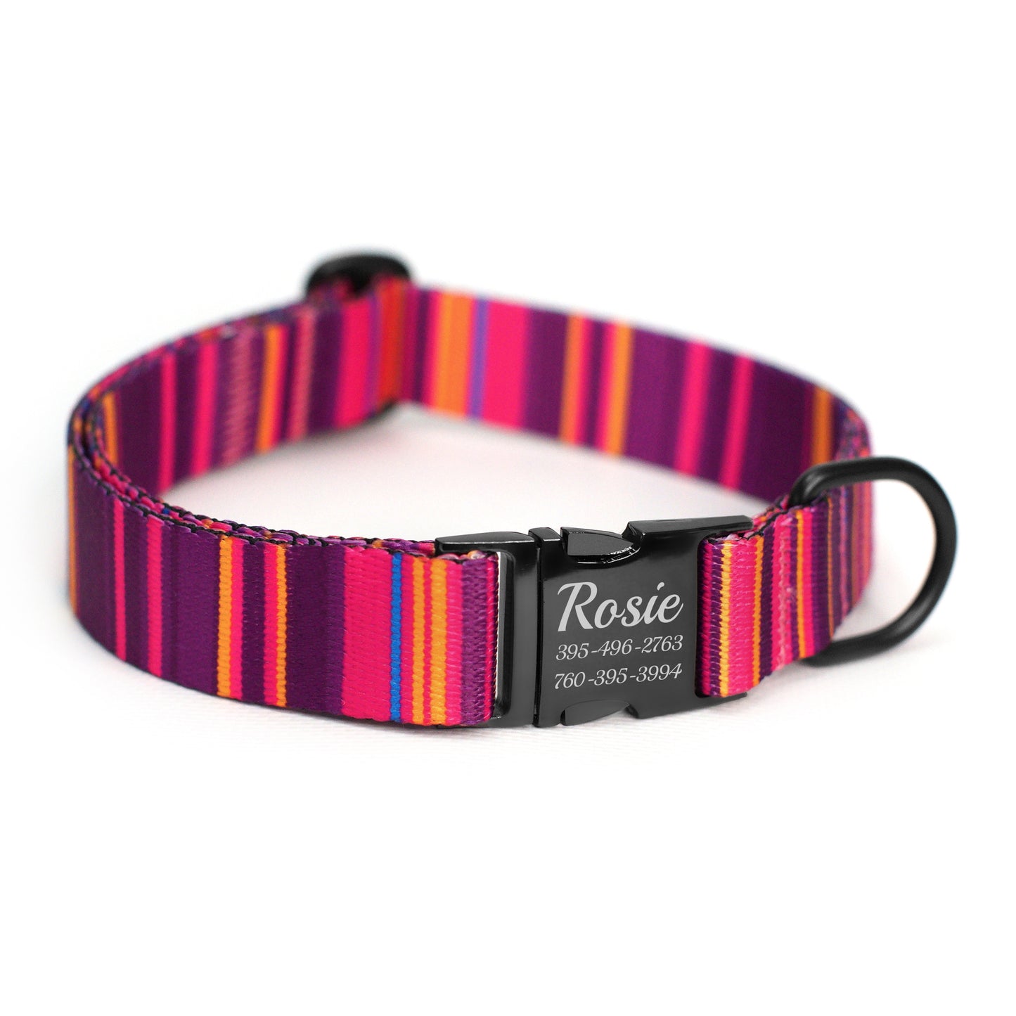 Nylon Dog Collar with Black Metal Buckle