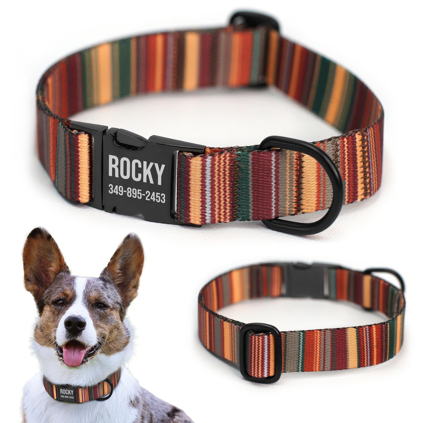 Nylon Dog Collar with Black Metal Buckle