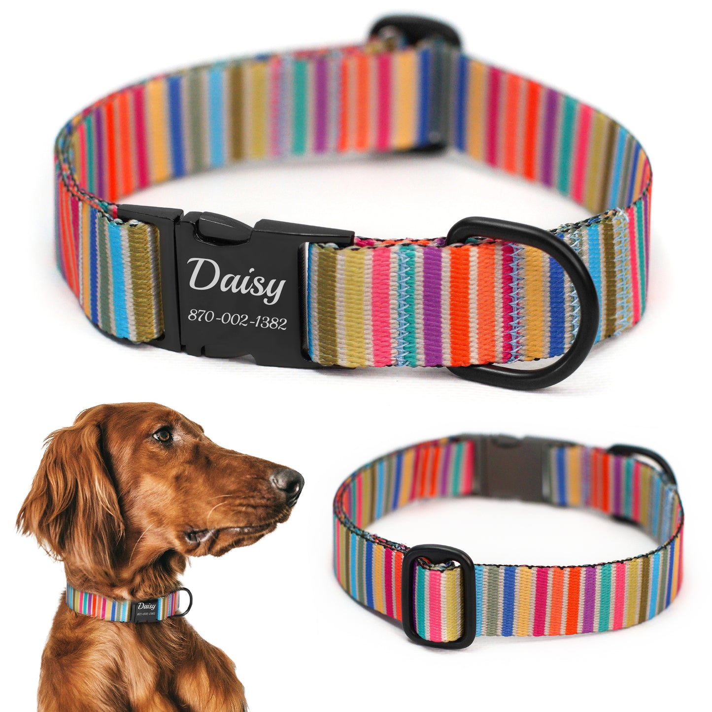 Nylon Dog Collar with Black Metal Buckle