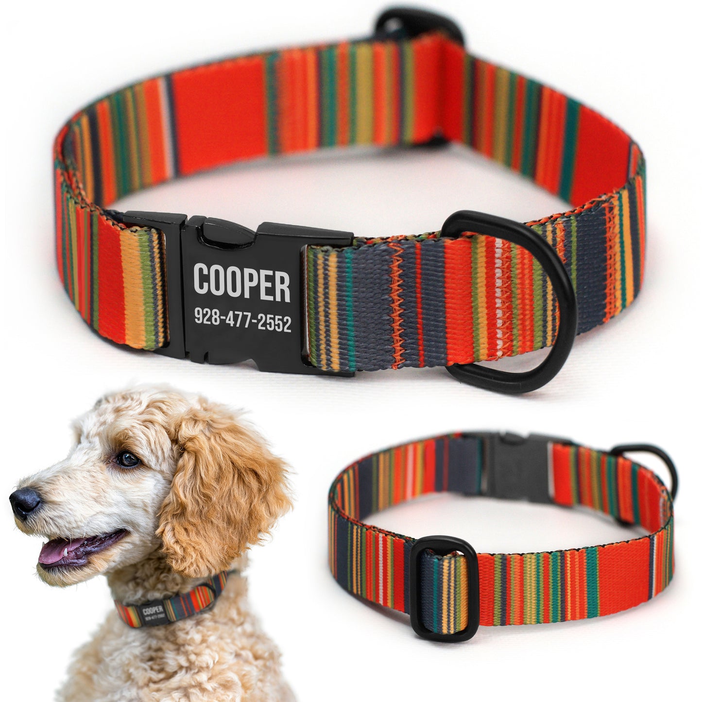 Nylon Dog Collar with Black Metal Buckle