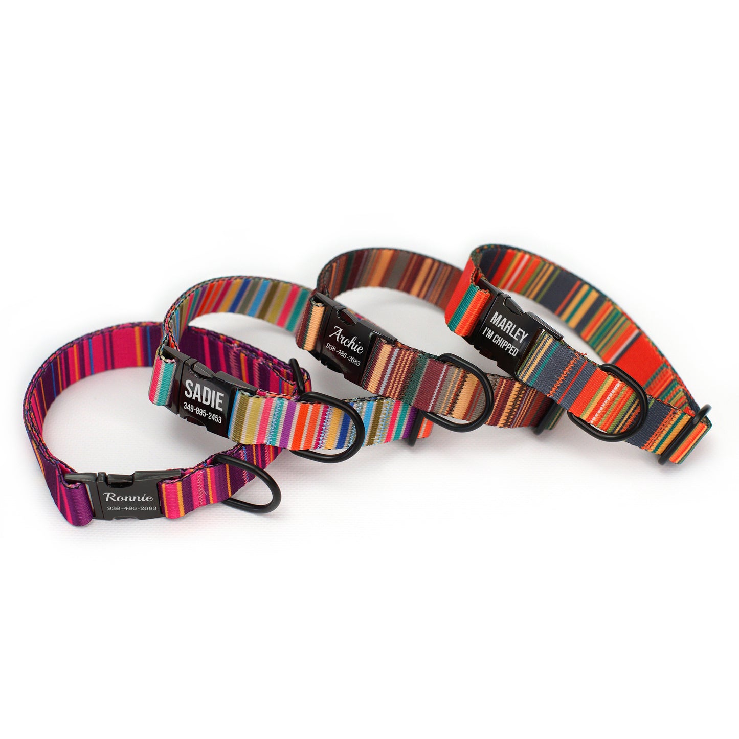 Nylon Dog Collar with Black Metal Buckle