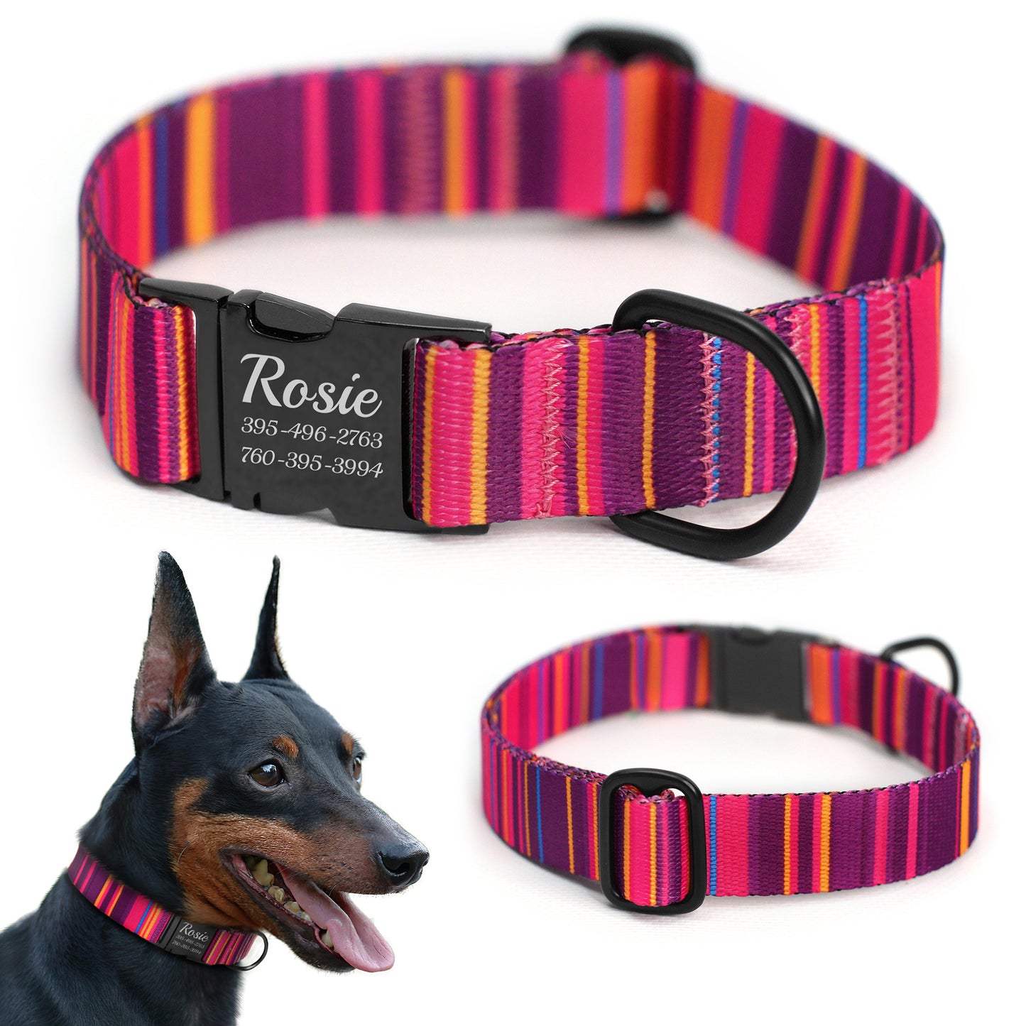 Nylon Dog Collar with Black Metal Buckle