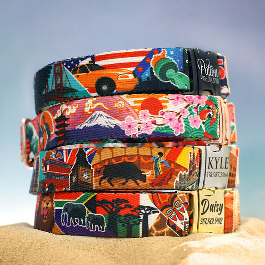 Travel Print Dog Collar with Name