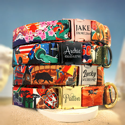 Personalized Dog Collar with Japan USA Europe Pattern