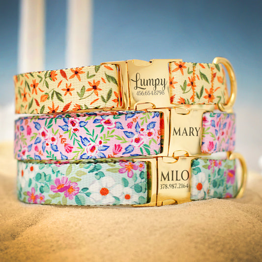 Floral Dog Collar with Name