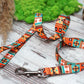 Pattern Dog Leash with Handle, Tribal Print Dog Leash, Aztec Pet Leashes for Small Medium Large Dogs, Puppy Leash, Boy Dog Leash