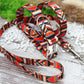 Geometric Dog Leash 5FT, Aztec Pattern Dog Leashes, Tribal Plaid Pet Leashes for Small Medium Large Dogs Puppy, Print Nylon Dog Leash