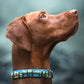 Personalized Dog Collar Pattern, Print Designer Dog Collar, Boy Dog Collar Girl, Dog Collar Small Medium Large, Custom Dog Collar Engraved