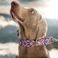 Custom Martingale Collar for Dogs, Personalized Wide Dog Collar, Martingale Dog Collar with Name, Scandinavian Dog Collar Pattern Geometric