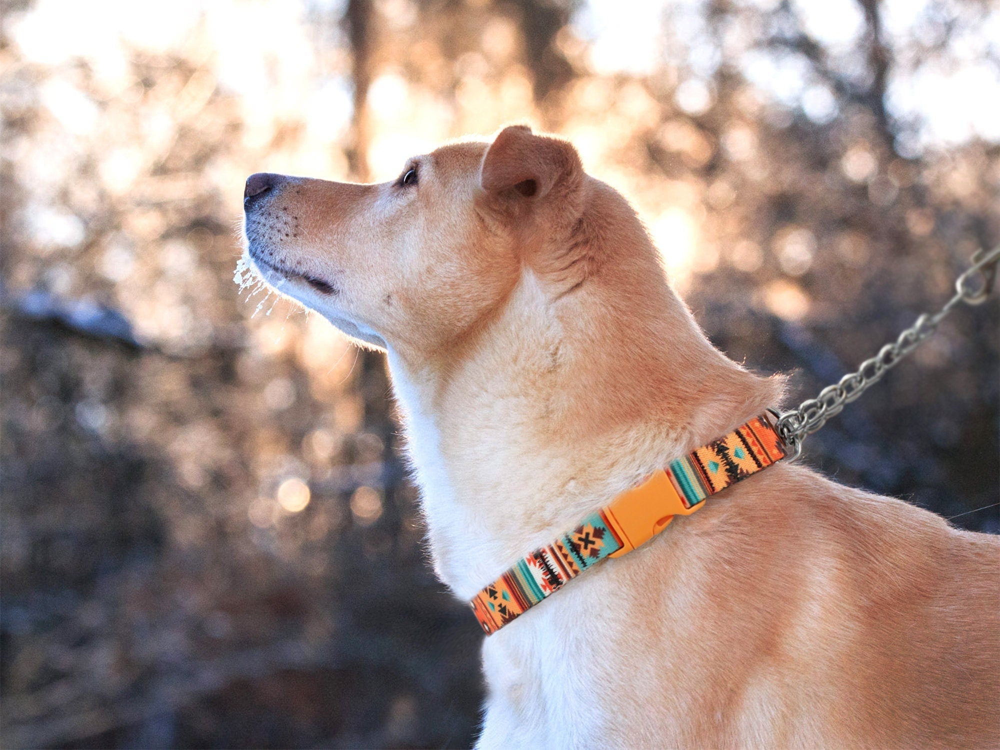 Tribal dog collar sale